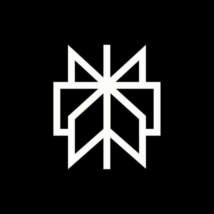 Perplexity AI Logo - Geometrischer Stern/Asterisk